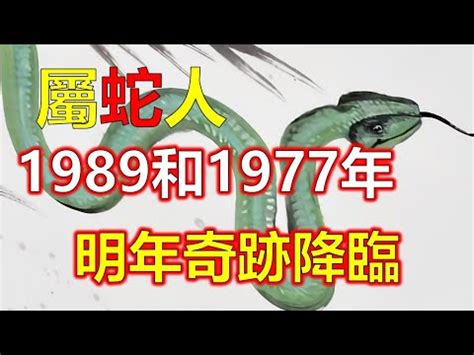 1989年 蛇 五行|1989年生肖蛇的是什么命 89年的属蛇人一生命运分析